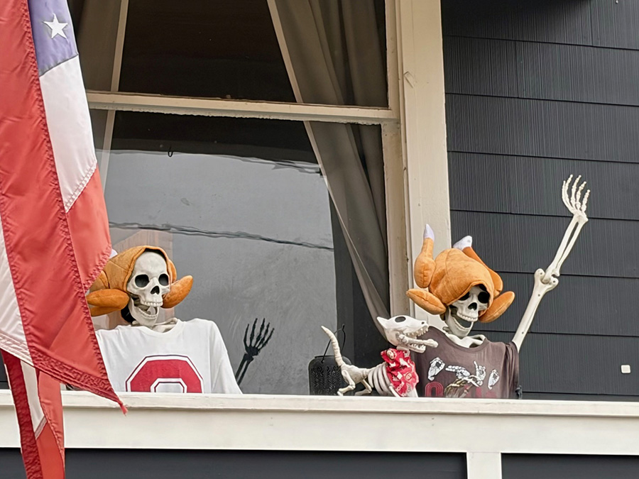 Thanksgiving fans